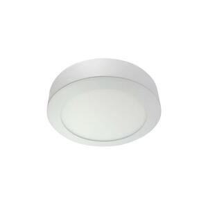 LED Stropné svietidlo LED/24W/230V 2700K