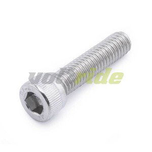 SXT Allen screw M5 x 25 mm