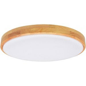 Stropní LED svítidlo WLD400-24W/LED/SD s dálkovým ovládáním