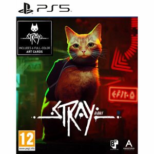 PS5 Stray