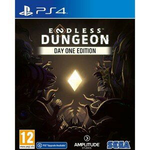 Endless Dungeon (PS4)