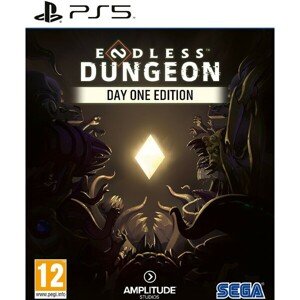 Endless Dungeon (PS5)