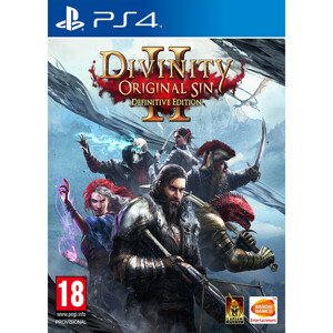 Divinity: Original Sin 2 Definitive Edition (PS4)