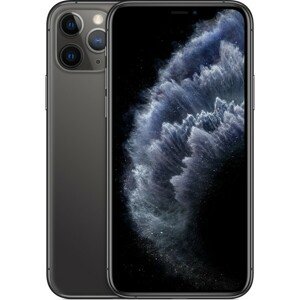 Apple iPhone 11 Pro 256GB vesmírne šedý