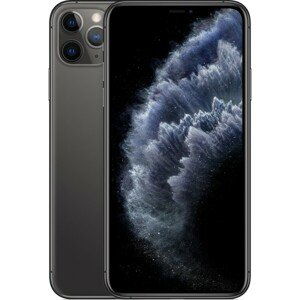 Apple iPhone 11 Pro Max 256GB vesmírne šedý