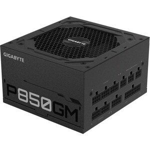 GIGABYTE P1000GM 1000W