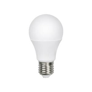 Žiarovka LED E27 12W A60 biela studená RETLUX RLL 250