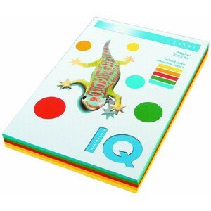 Papier xerografický IQ A4/80g mix 5x50 listov intenzívnej farby