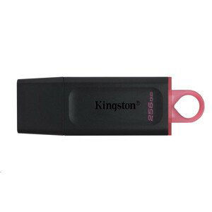 Kingston 256GB USB3.2 Gen1 DataTraveler Exodia (Black + Pink)