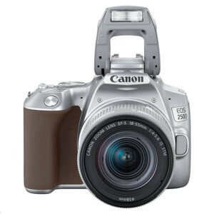 Canon EOS 250D zrkadlovka + 18-55 IS STM - strieborná