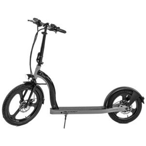 E-scooter r10 grey MS ENERGY