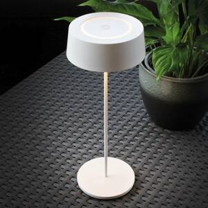 LED lampa Cocktail na batérie stmievateľná biela