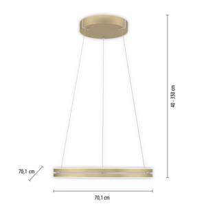 PURE E-Loop LED závesné svietidlo, CCT, zlatá