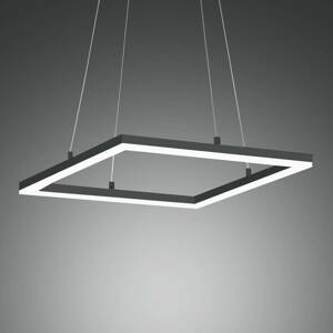 Stropné LED svietidlo Bard 42x42 cm antracit