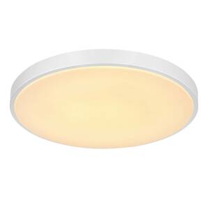 Stropné LED svietidlo Sonny striebro CCT Ø 50,5 cm