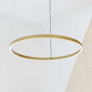 Luceplan Compendium Circle 110 cm, mosadz