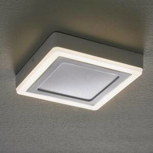 LEDVANCE LED Click White Square stropná lampa 20cm