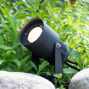 Garden 24 LED spotlight, čierna, 3 wattové