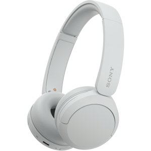 Sony WH-CH520W