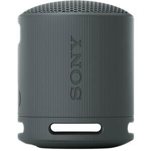 Sony SRS XB100 Black