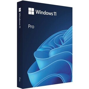 Windows 11 Pro - Krabicové balenie - 1 licencia - flash disk - 64 bitov - slovenčina