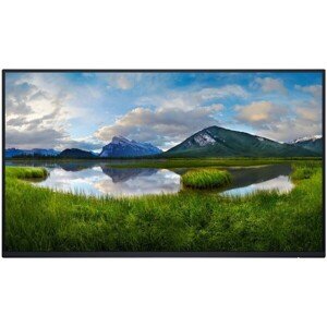 Dell P2425HE monitor 24" bez stojana