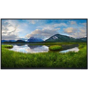 Dell P2425H monitor 24" bez stojana