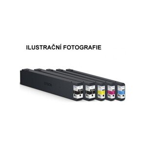 Epson Black Ink pre WF-C20750, XXL