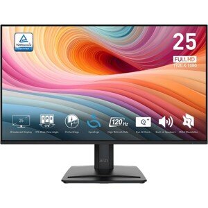 MSI PRE MP251 E2