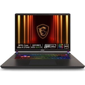 MSI Vector 17 (9S7-17S372-031) sivý