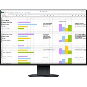 EIZO FlexScan EV2456-BK LED 24" čierny