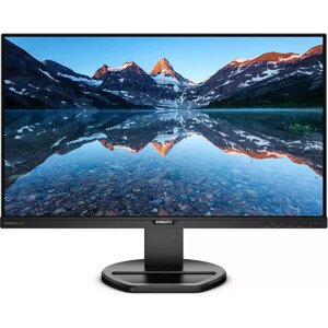 Philips 252B9/00 monitor 25"