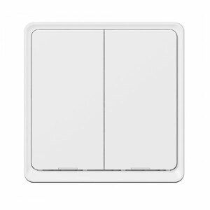 Tesla Smart Switch Dual ZigBee