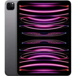 iPad Pro 11" 256 GB Cellular M2 Vesmírne sivý 2022