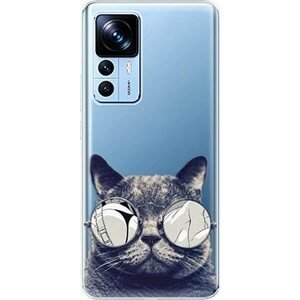 iSaprio Crazy Cat 01 pro Xiaomi 12T / 12T Pro