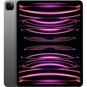 iPad Pro 12.9" 2 TB M2 Vesmírno-sivý 2022