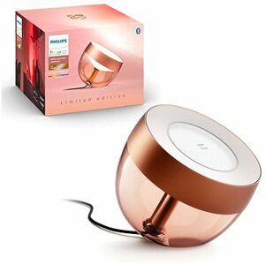 Philips Hue Iris Copper