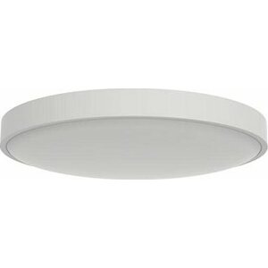 Yeelight Ceiling Light C2001C550