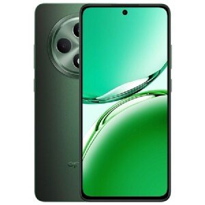 OPPO Reno12 FS 5G 12512GB, Black Green