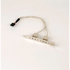 Kábel CABLEXPERT USB PORTY prídavné 2 x USB pre mb CCUSBRECEPTACLE