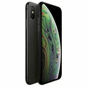 Apple iPhone XS 64GB, šedá