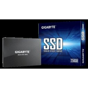 Gigabyte SSD 256GB 2,5" SATA GP-GSTFS31256GTND
