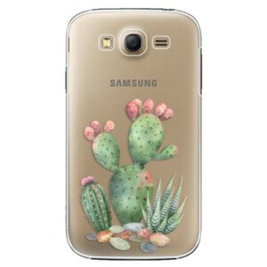 Plastové puzdro iSaprio - Cacti 01 - Samsung Galaxy Grand Neo Plus