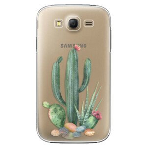 Plastové puzdro iSaprio - Cacti 02 - Samsung Galaxy Grand Neo Plus