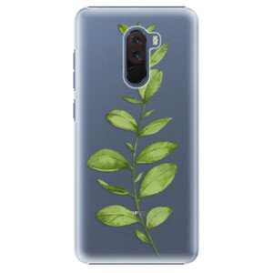 Plastové puzdro iSaprio - Green Plant 01 - Xiaomi Pocophone F1