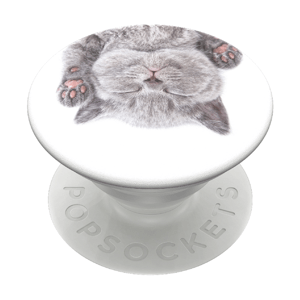 PopSockets PopGrip Gen.2, Cat Nap, spiace mačiatko