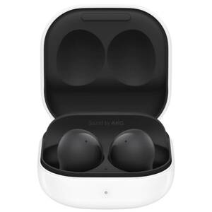 Samsung Galaxy Buds2 SM-R177 Graphite