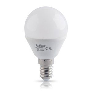 Forever LED bulb E14 G45 6W 6000K 510 lm