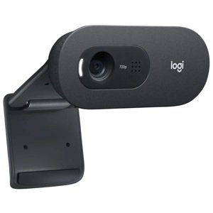 LOGITECH C505E BUSINESS WEBCAM BLK USB N/A WW