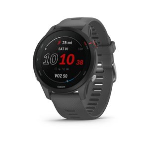 GARMIN FORERUNNER 255, SLATE GREY, 010-02641-10